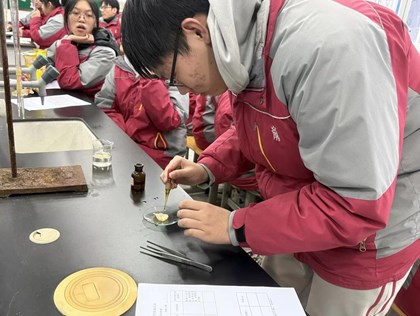 生化融合社团活动——美味薯片背后的密码